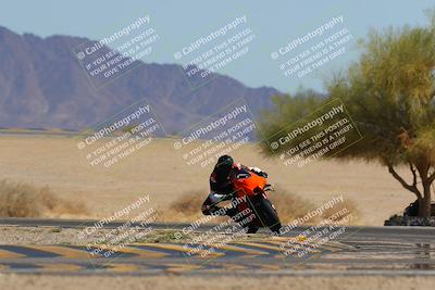 media/Mar-24-2025-Moto Forza (Mon) [[57ce5c5cff]]/3-Beginner Group/Session 4 Turn 4 Tree of Life/